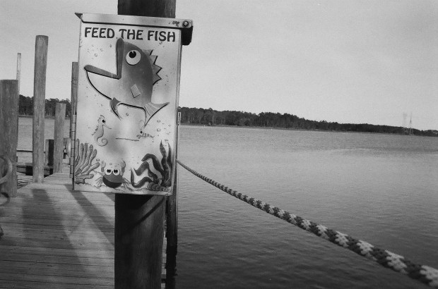 feedthefish