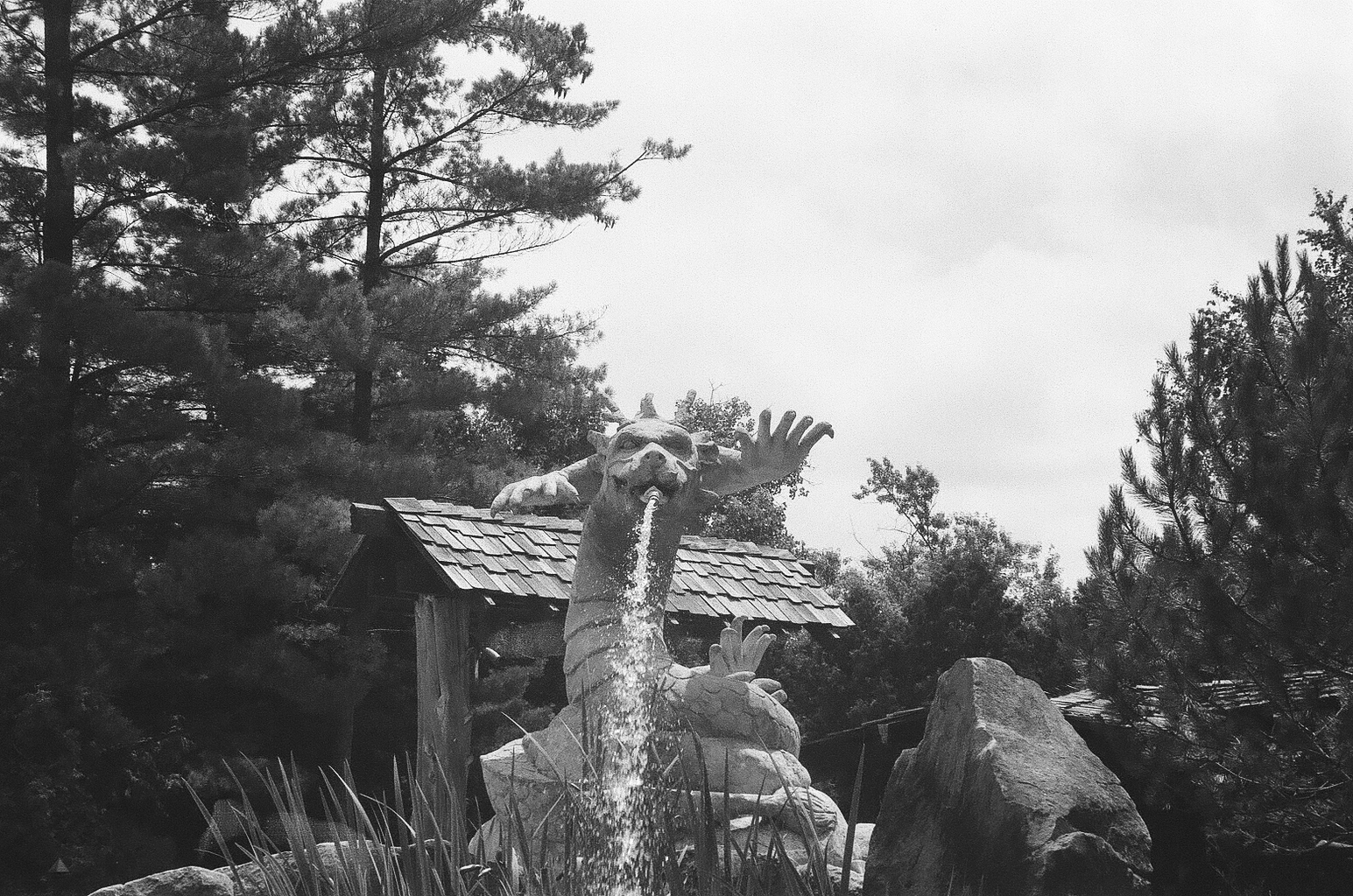 dragon